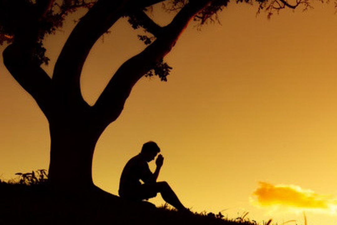 A Utilização de Psicodélicos Expande os Chakras? Oportunidade ou Cilada?